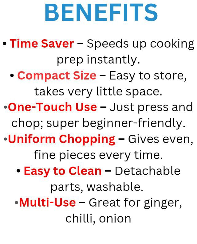 Electric Mini Chopper  Multiuse  250ml Electric Vegetable Chopper